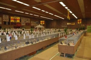 Grote kleindiertentoonstelling in Winkel