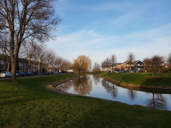 Gemeente Hollands Kroon vraagt input over verordening fysieke leefomgeving