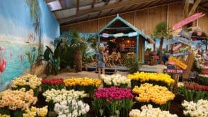 Ook in 2022 geen Lentetuin Breezand