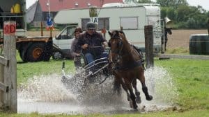 Uitgestelde menmarathon geslaagd