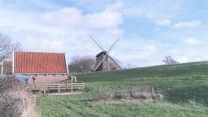 Gemeente bedankt vrijwilligers molens (video)