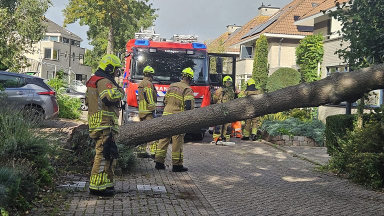 Boom waait om en valt op auto in Schagen