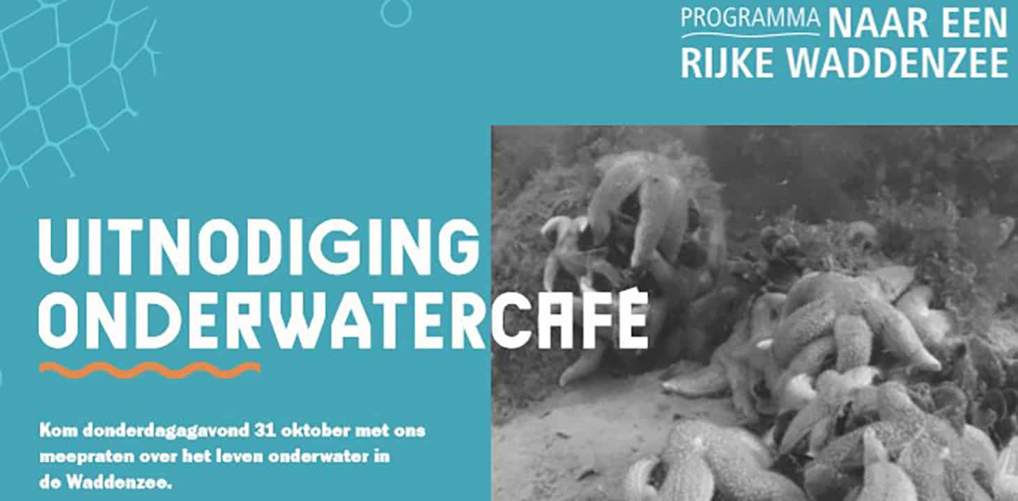 Praat mee in het Onderwatercafé