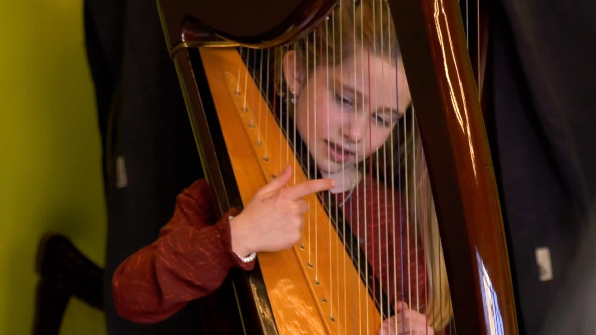 Open huis bij Triade (video)