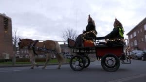 Met paard en wagen op stap om mensen blij te maken (video)