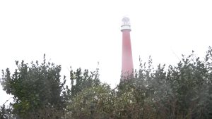 Opluchting in Huisduinen: Minister Harbers heeft goed nieuws over Lange Jaap (video)