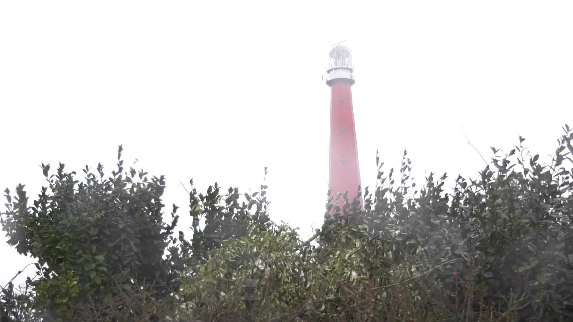 Opluchting in Huisduinen: Minister Harbers heeft goed nieuws over Lange Jaap (video)