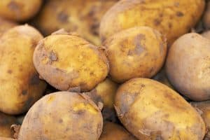 Pootaardappeltelers kunnen niet zonder technologie (video)