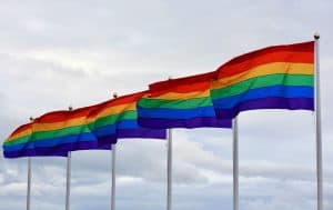 Nederlandse Defensie Academie hijst regenboogvlag