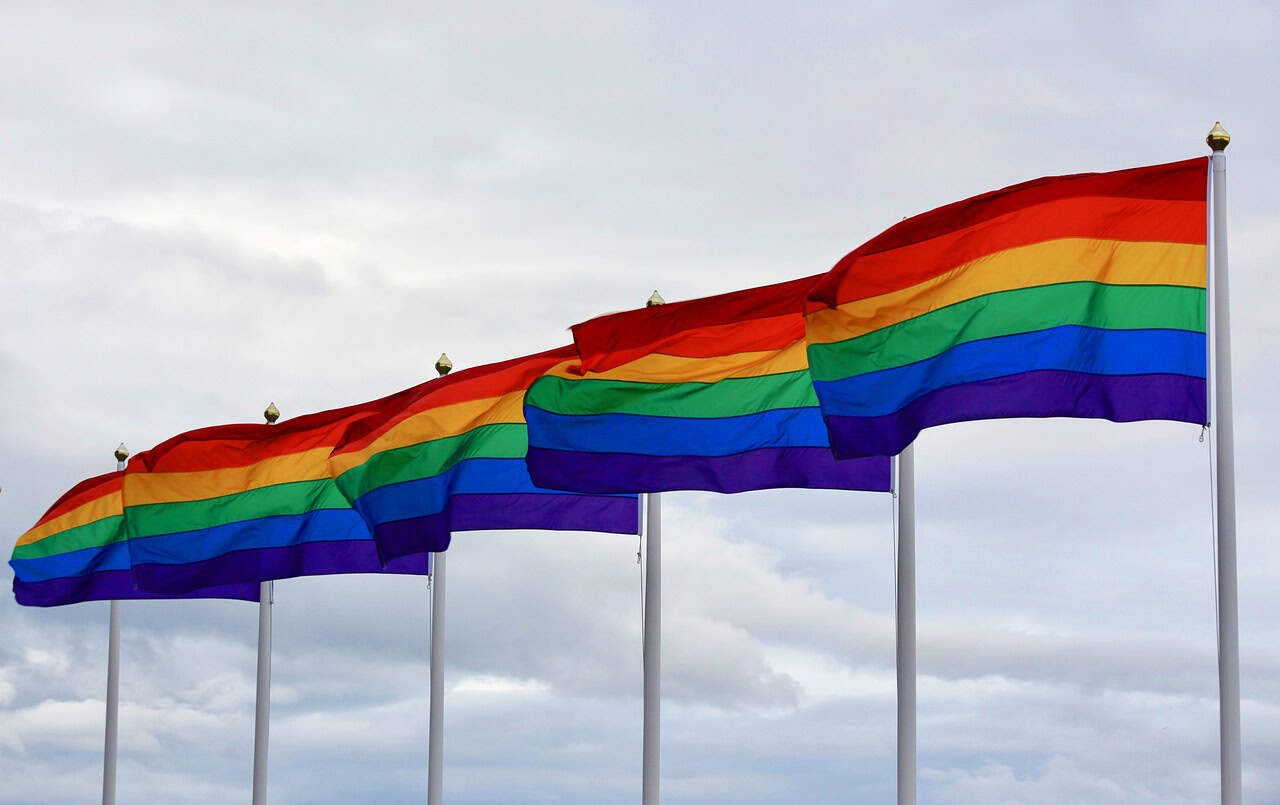 Nederlandse Defensie Academie hijst regenboogvlag