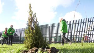 Groenlinks Hollands Kroon voert actie tegen datacenterbeleid (video)