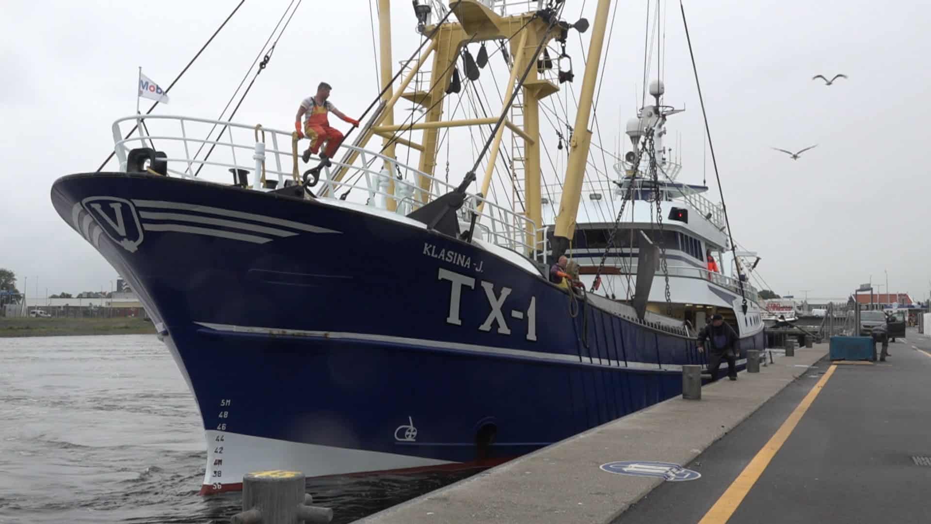 Europese regelingen moeten visserij uit de brand helpen