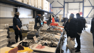 ZeeVerse Vismarkt Wieringen gaat vooralsnog door