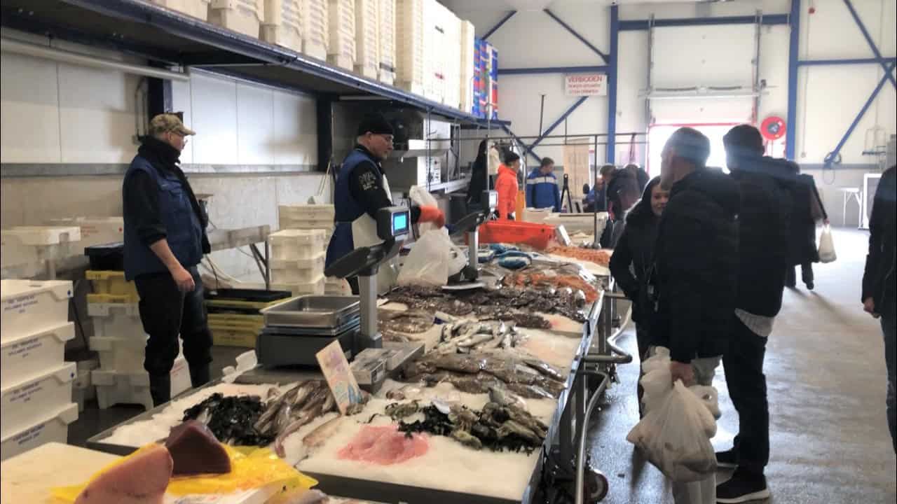 Verse vismarkt na 16 jaar nog steeds succesvol (video)