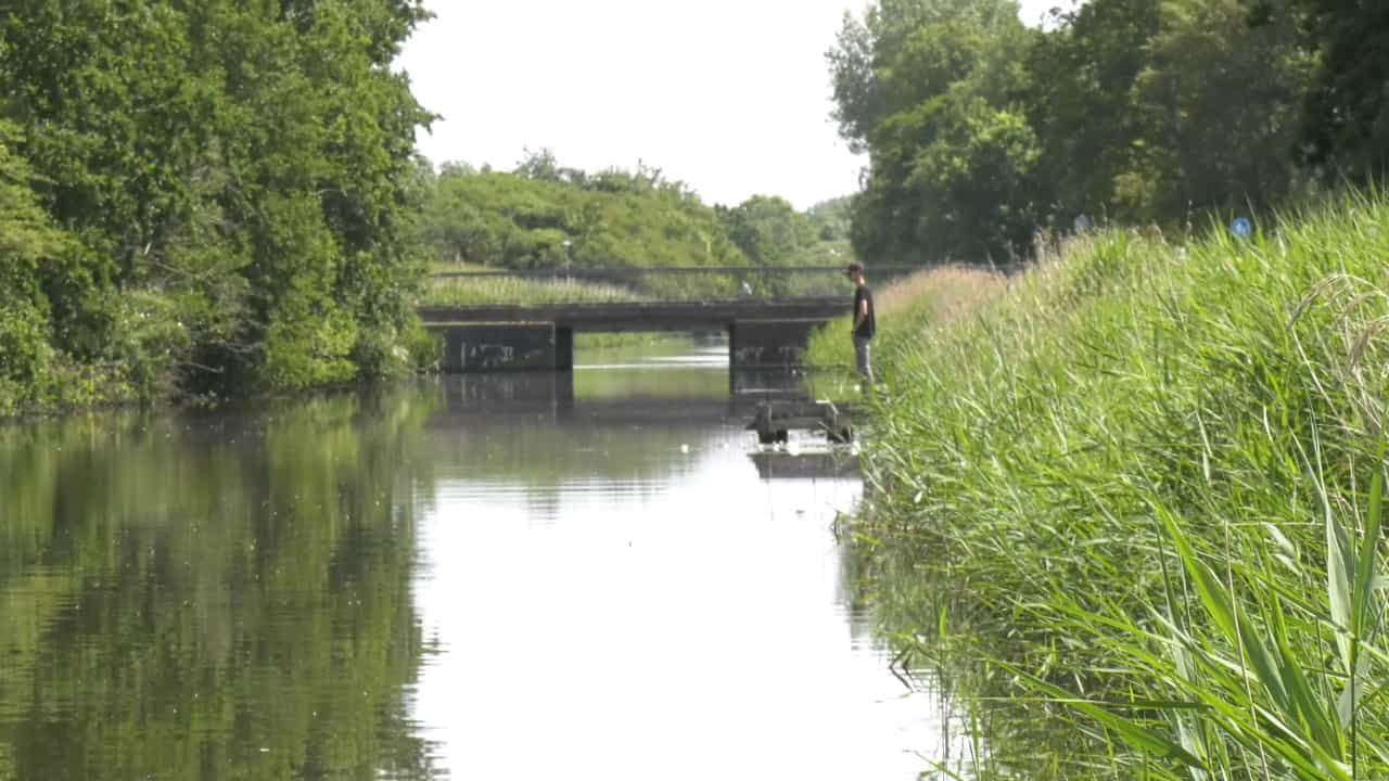 Ga Vissen Dag: steeds meer vissers langs de waterkant (video)