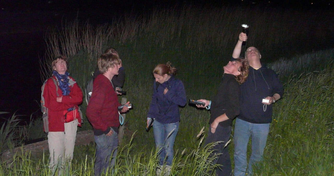 Vliegende zoogdieren in Eendenkooi ’t Zand