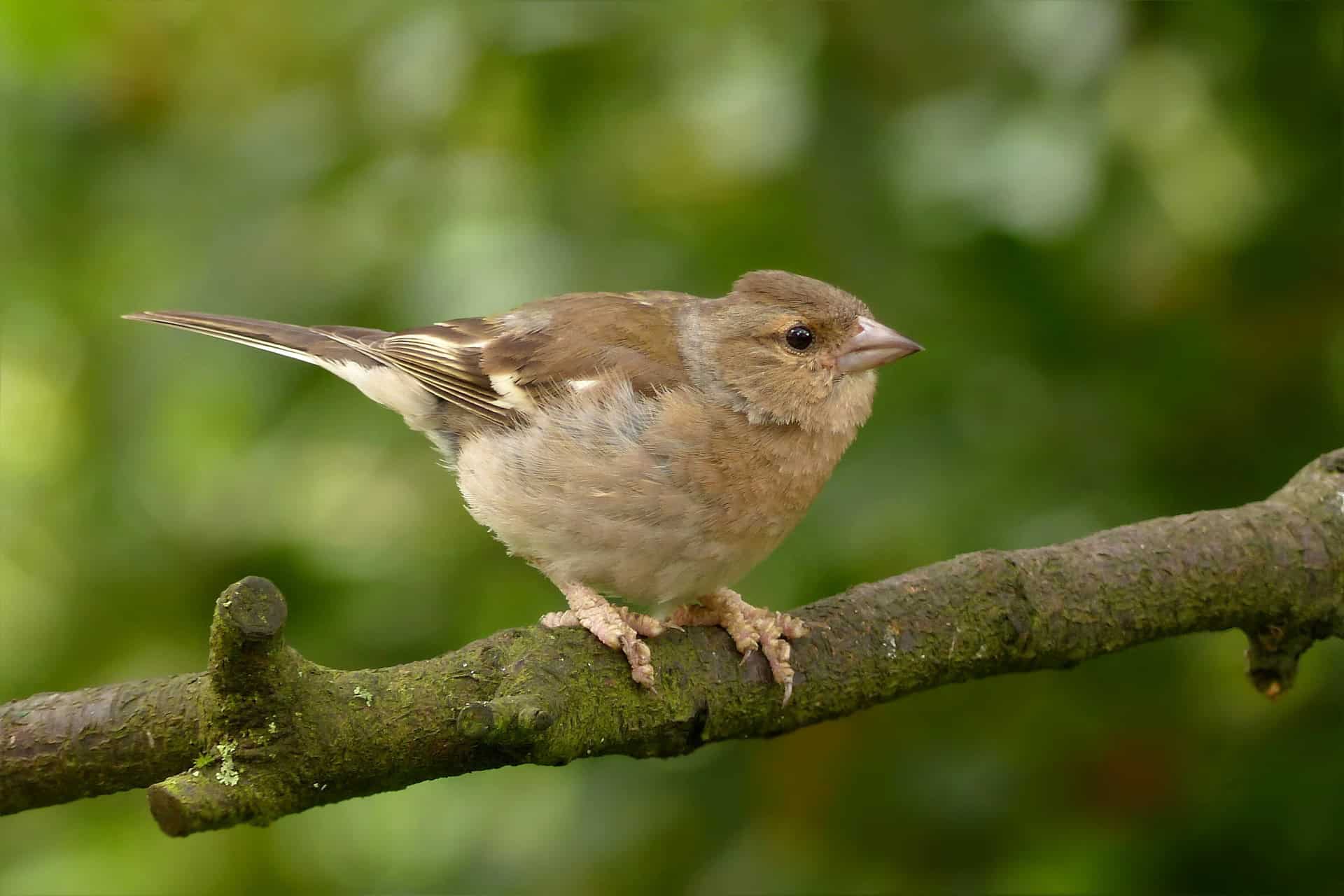 Dag van de biodiversiteit bij De Helderse Vallei