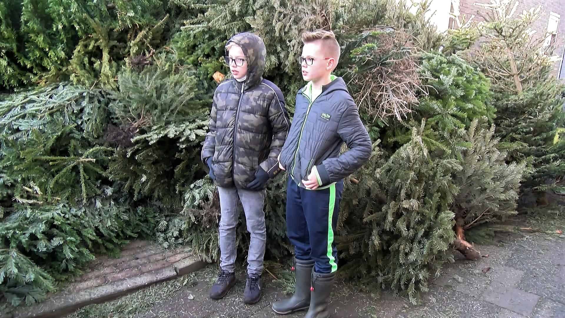 Kerstbomen brengen aardig wat geld op (video)