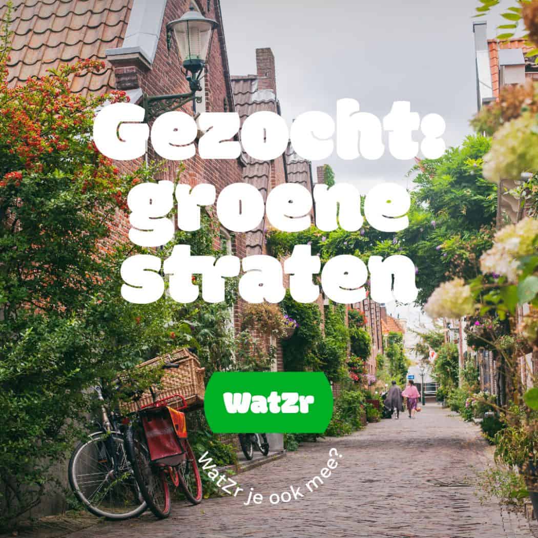Gemeente Hollands Kroon zoekt ‘groene straten’