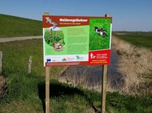 Gemeente Hollands Kroon: Honden niet welkom in weilanden