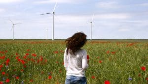 Geen kleine windmolens in Hollands Kroon
