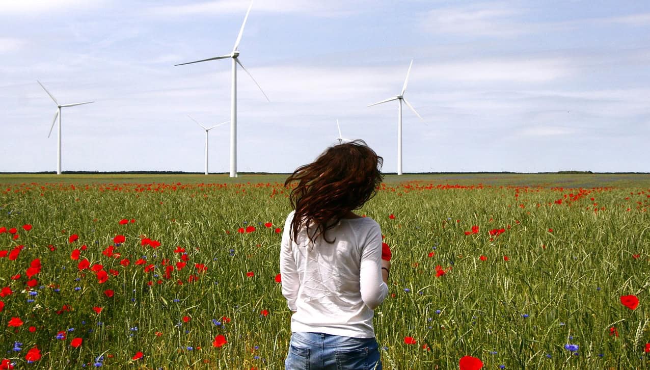 Geen kleine windmolens in Hollands Kroon