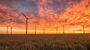 Is uw stroom echt groen?