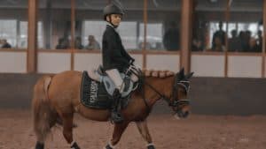 Wironruiters start met Bixie&Friends Ruiterpaspoort
