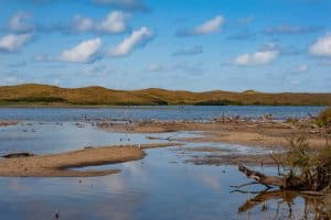 Excursie in het Zwanenwater