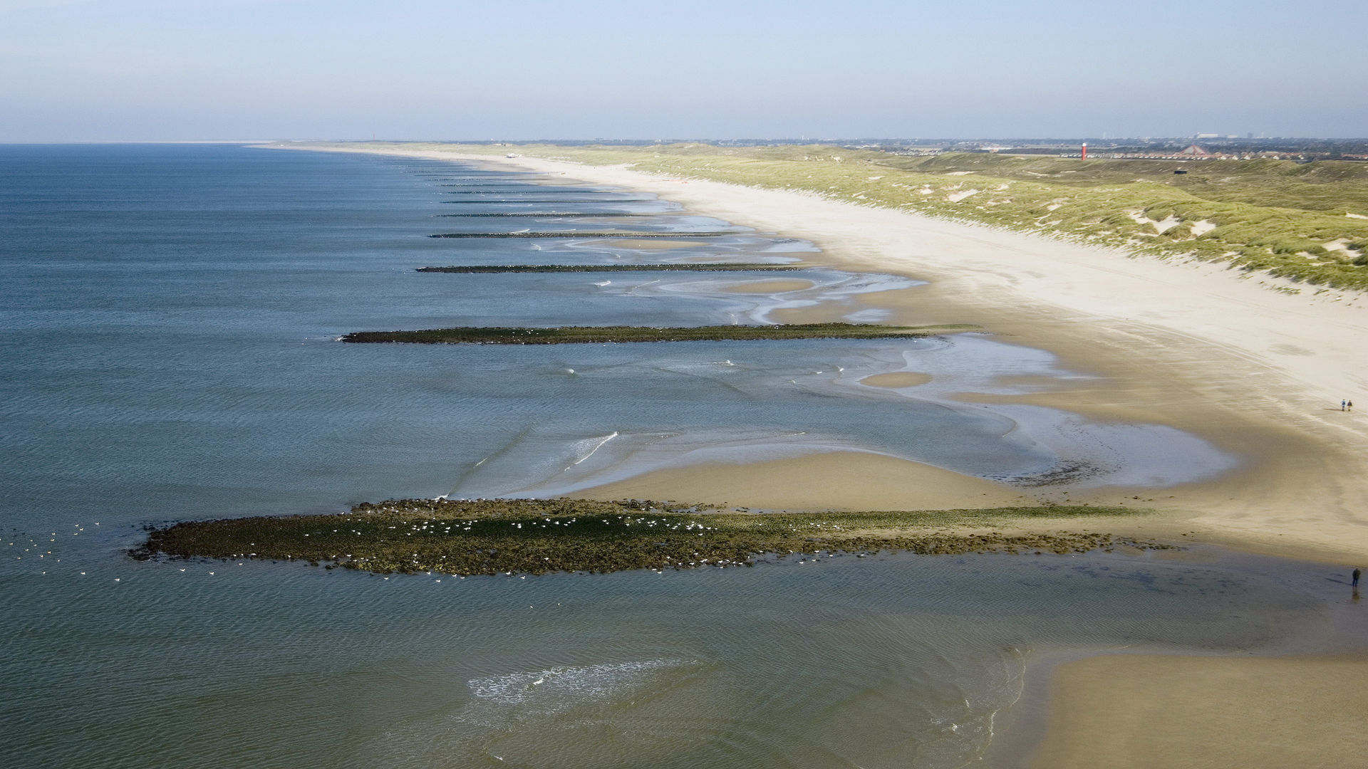 Lezing over de natuur in Den Helder bij School 7