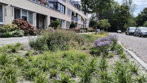 Schagen maakt centrum groener en waterklaar