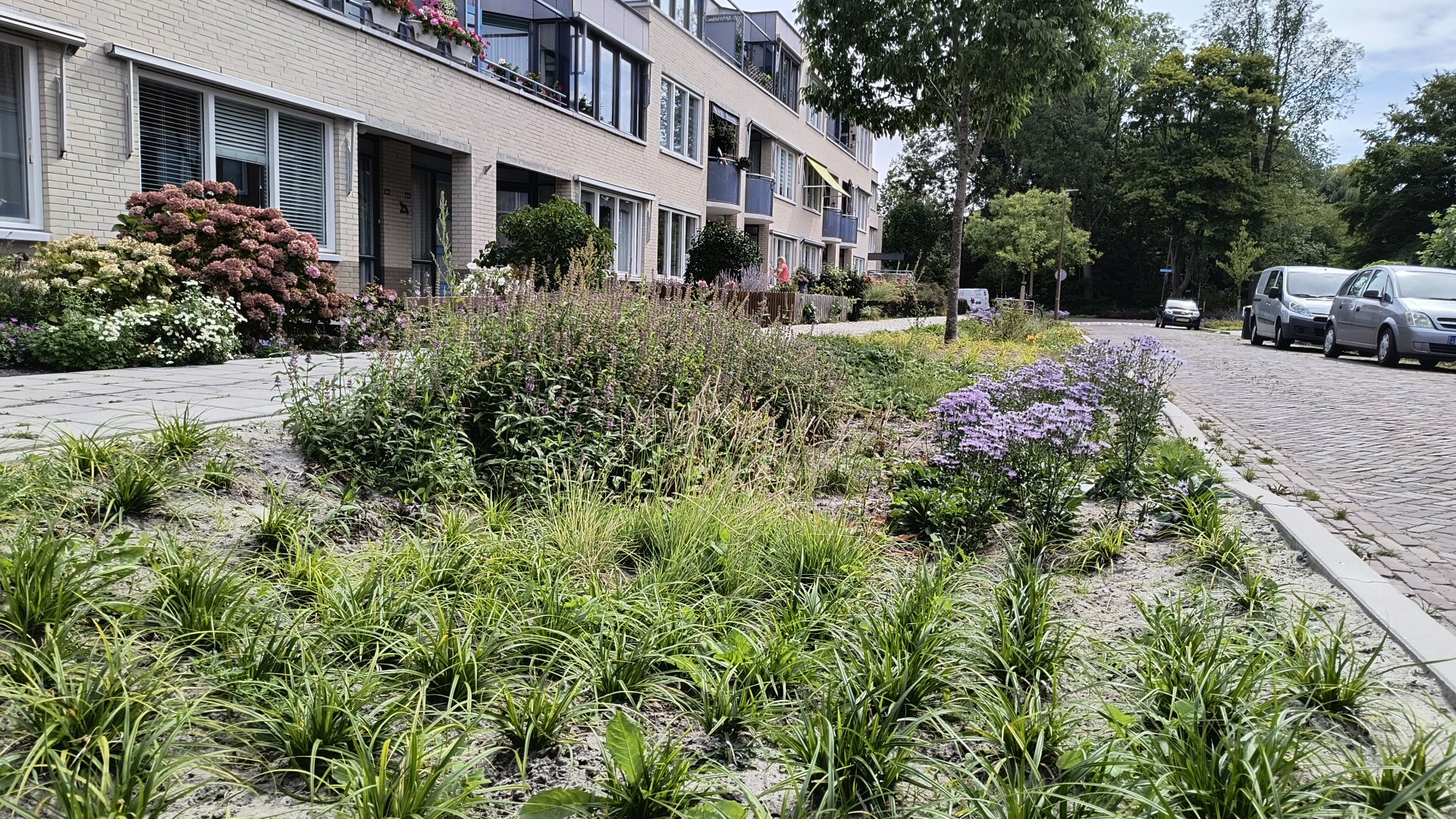 Schagen maakt centrum groener en waterklaar