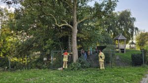 Jongetje vast in boom, brandweer schiet te hulp