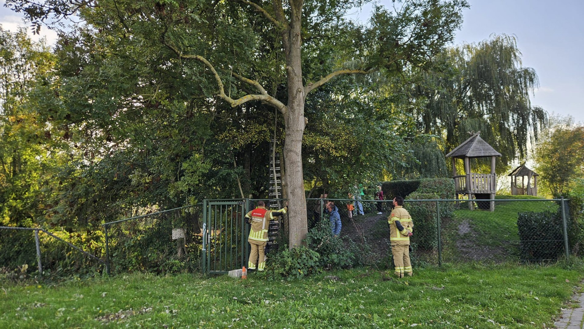 Jongetje vast in boom, brandweer schiet te hulp