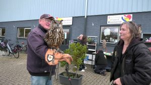 Video: Uilen op bezoek bij de Wieringer Schatkamer