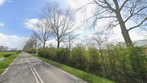 Gemeente kapt 60 bomen lang Warmenhuizerweg