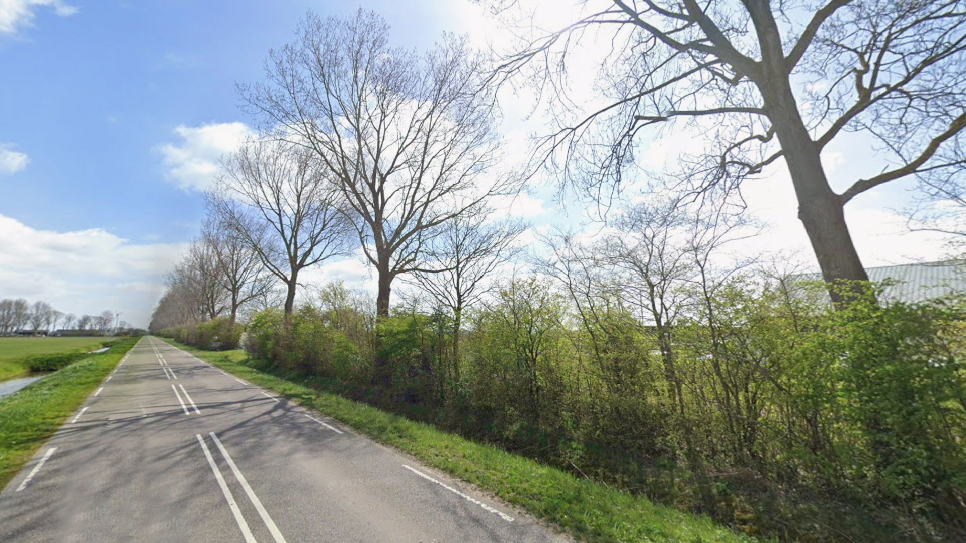 Gemeente kapt 60 bomen lang Warmenhuizerweg
